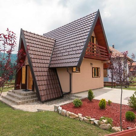巴伊纳巴什塔Mountain House Popovic Tara别墅 外观 照片